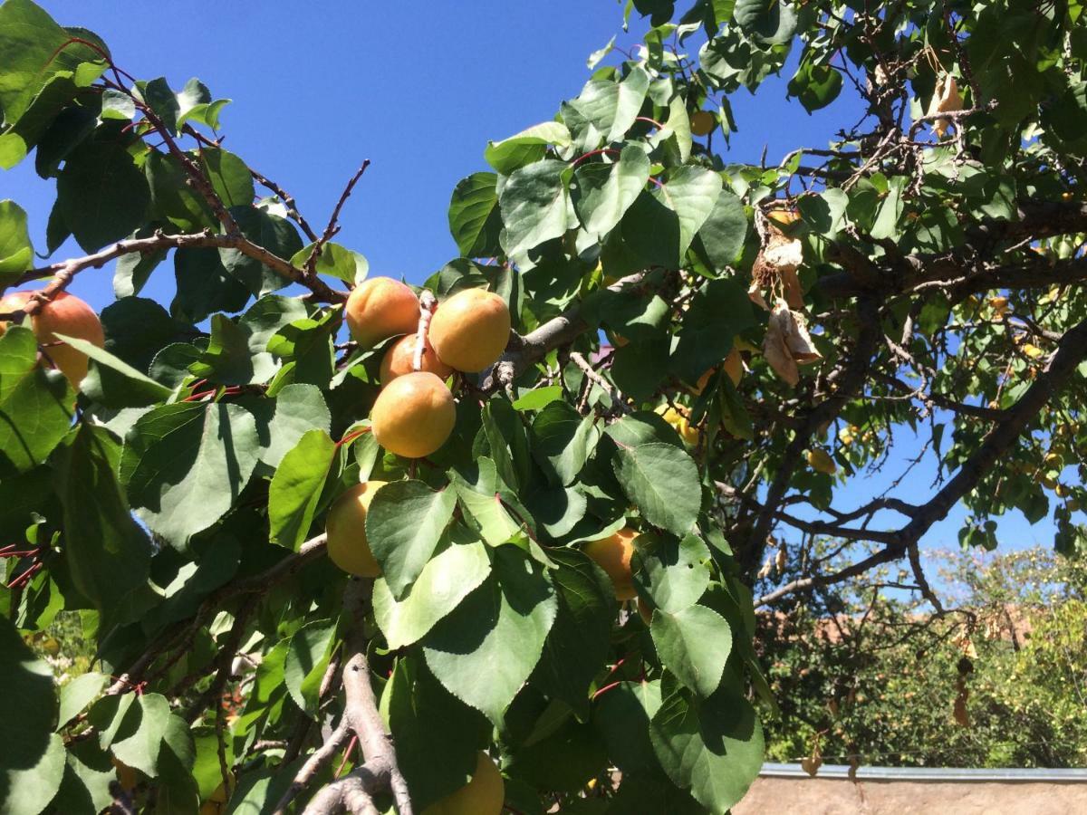 Eco House Summer Garden Kaji-Say 外观 照片