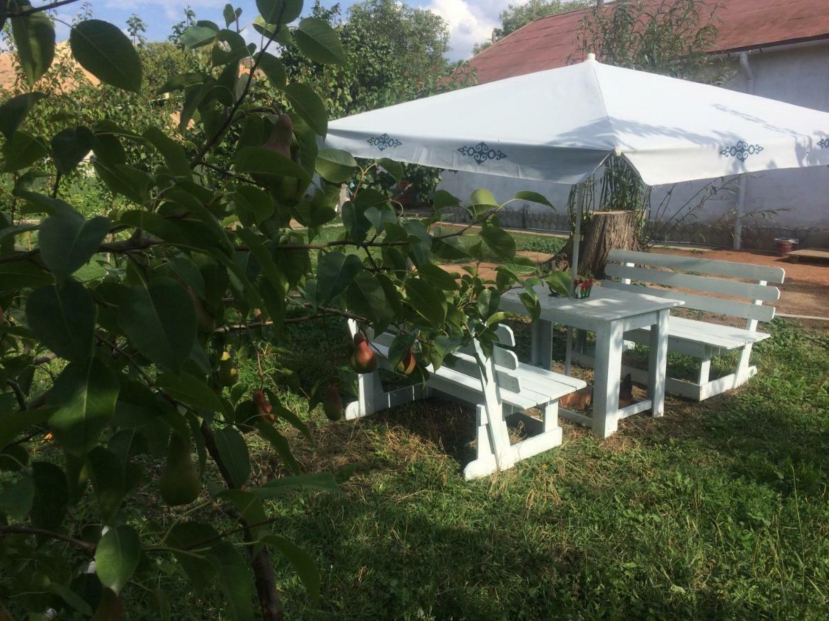 Eco House Summer Garden Kaji-Say 外观 照片