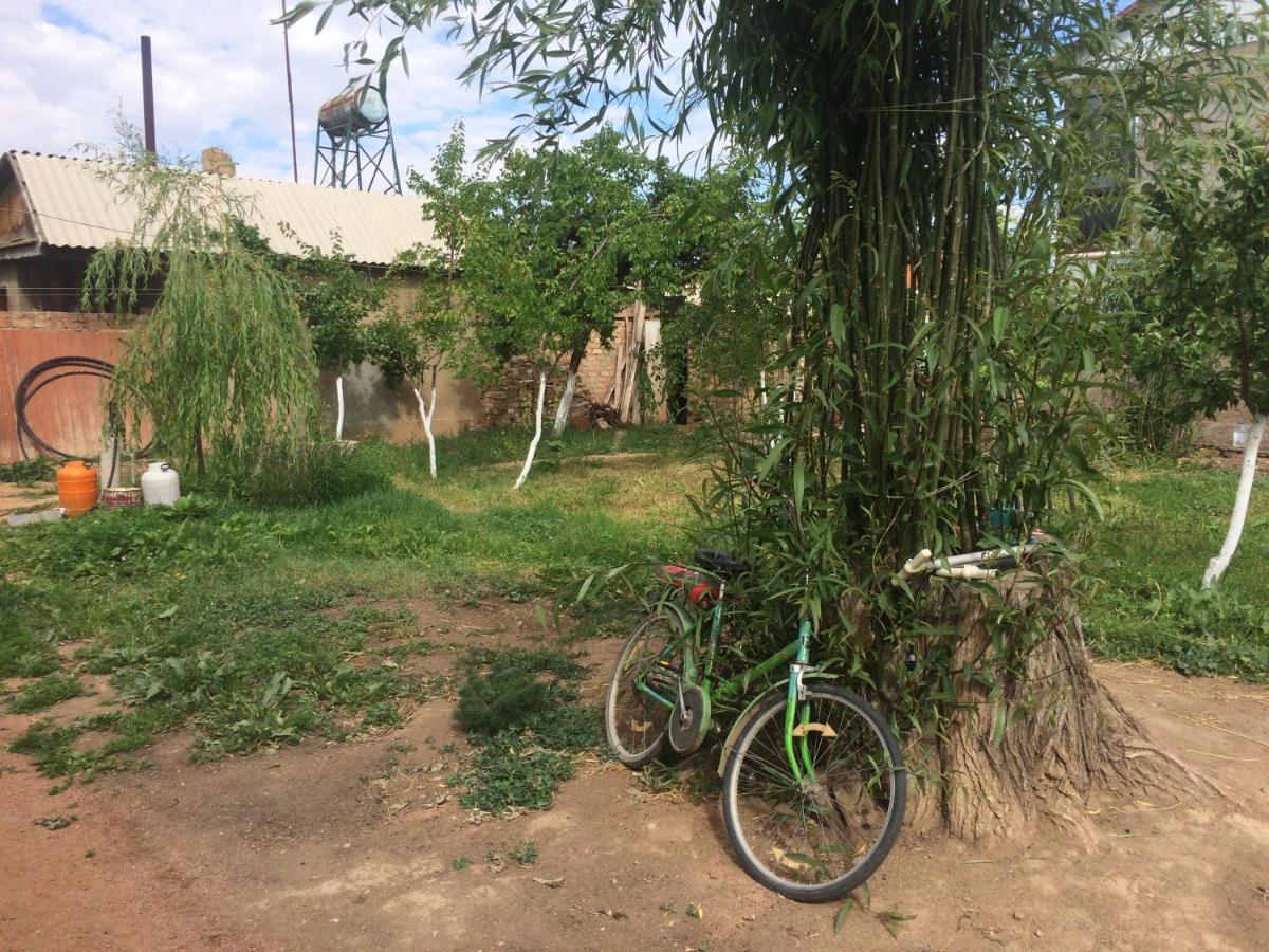 Eco House Summer Garden Kaji-Say 外观 照片